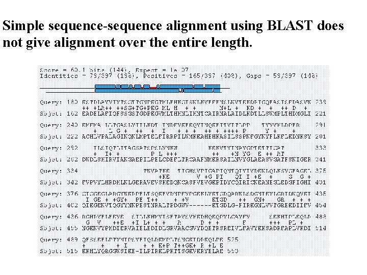 Simple sequence-sequence alignment using BLAST does not give alignment over the entire length. 