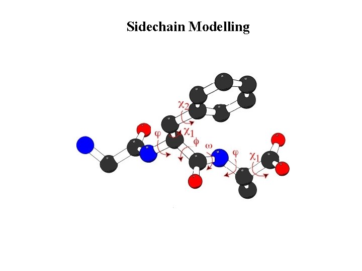 Sidechain Modelling 