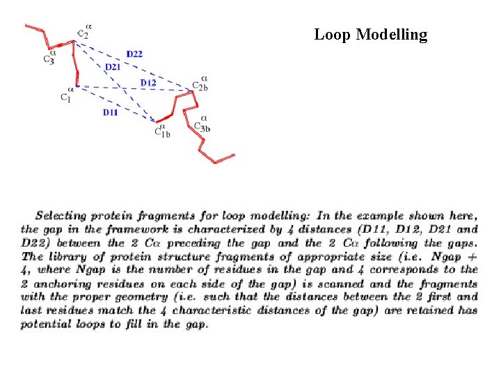 Loop Modelling 