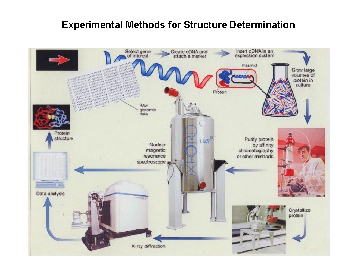 Experimental Methods for Structure Determination 