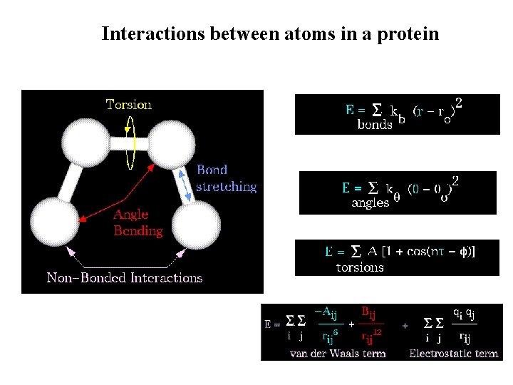Interactions between atoms in a protein 