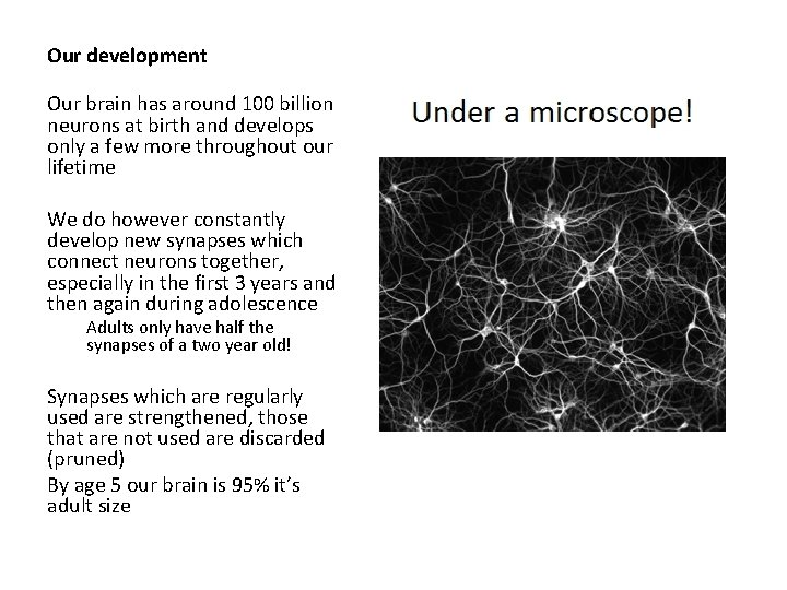 Our development Our brain has around 100 billion neurons at birth and develops only Our development Our brain has around 100 billion neurons at birth and develops only