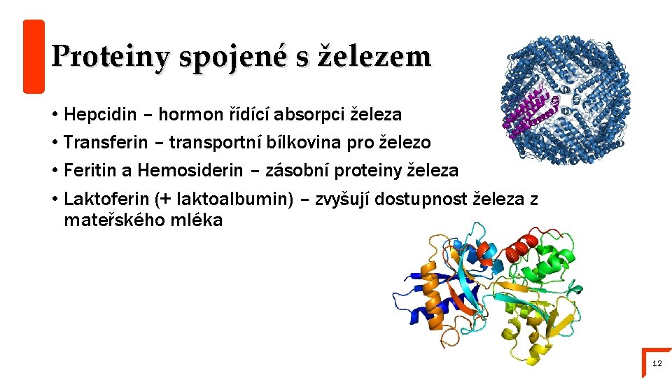 Proteiny spojené s železem • Hepcidin – hormon řídící absorpci železa • Transferin –