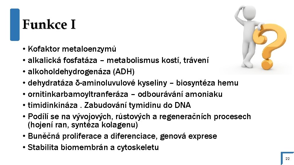 Funkce I • Kofaktor metaloenzymů • alkalická fosfatáza – metabolismus kostí, trávení • alkoholdehydrogenáza