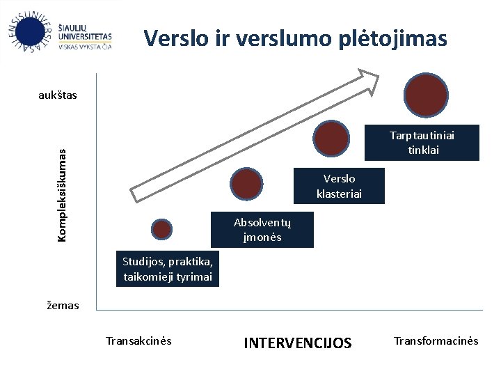 Verslo ir verslumo plėtojimas aukštas Kompleksiškumas Tarptautiniai tinklai Verslo klasteriai Absolventų įmonės Studijos, praktika,
