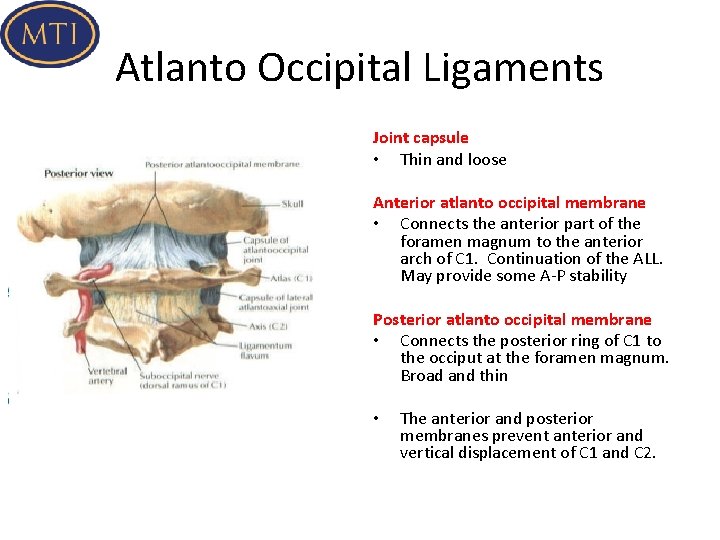 posterior atlanto occipital membrane