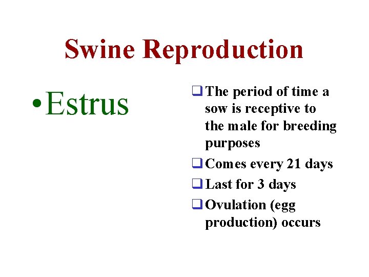 Swine Reproduction • Estrus q The period of time a sow is receptive to