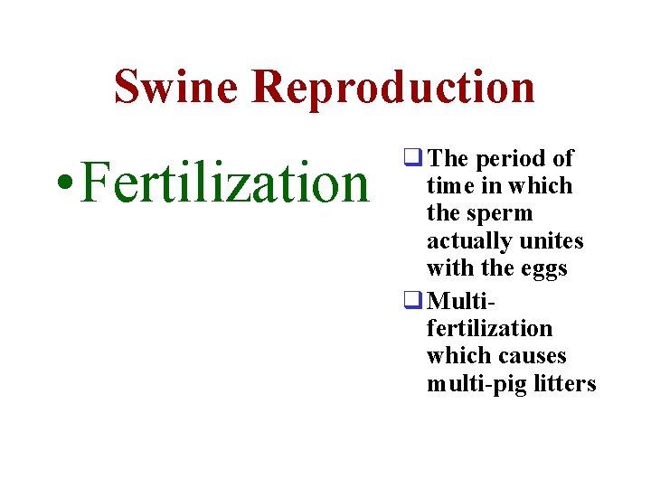 Swine Reproduction • Fertilization q The period of time in which the sperm actually