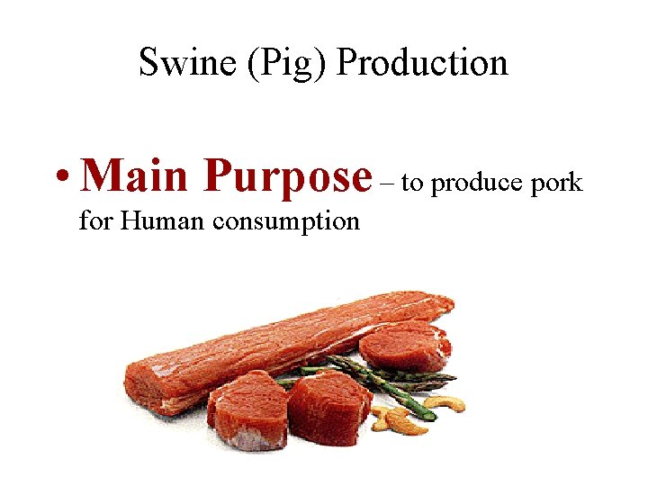 Swine (Pig) Production • Main Purpose – to produce pork for Human consumption 