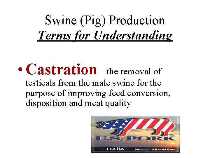 Swine (Pig) Production Terms for Understanding • Castration – the removal of testicals from