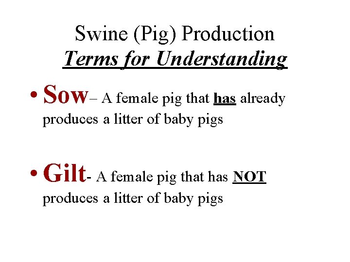 Swine (Pig) Production Terms for Understanding • Sow– A female pig that has already