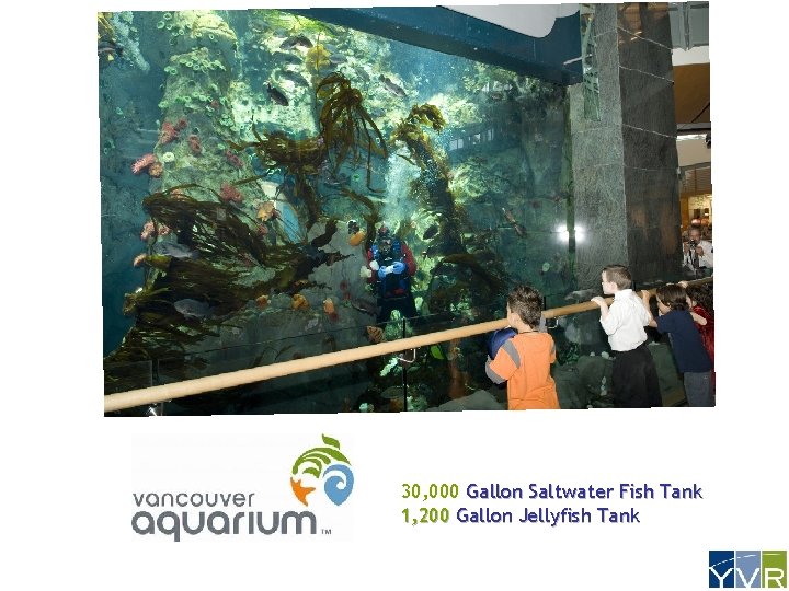 30, 000 Gallon Saltwater Fish Tank 1, 200 Gallon Jellyfish Tank 