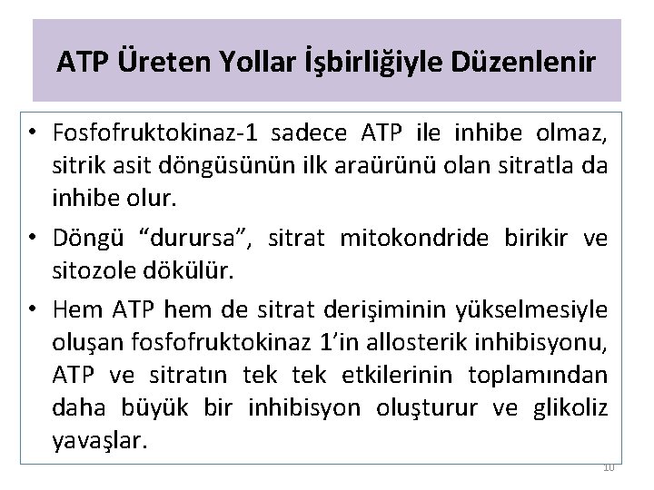 ATP Üreten Yollar İşbirliğiyle Düzenlenir • Fosfofruktokinaz-1 sadece ATP ile inhibe olmaz, sitrik asit