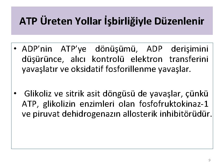 ATP Üreten Yollar İşbirliğiyle Düzenlenir • ADP’nin ATP’ye dönüşümü, ADP derişimini düşürünce, alıcı kontrolü