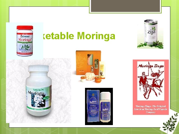 Marketable Moringa 