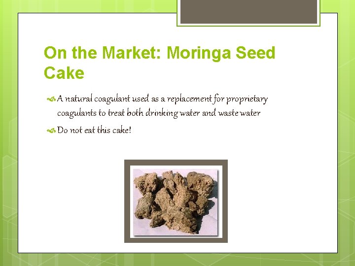 On the Market: Moringa Seed Cake A natural coagulant used as a replacement for