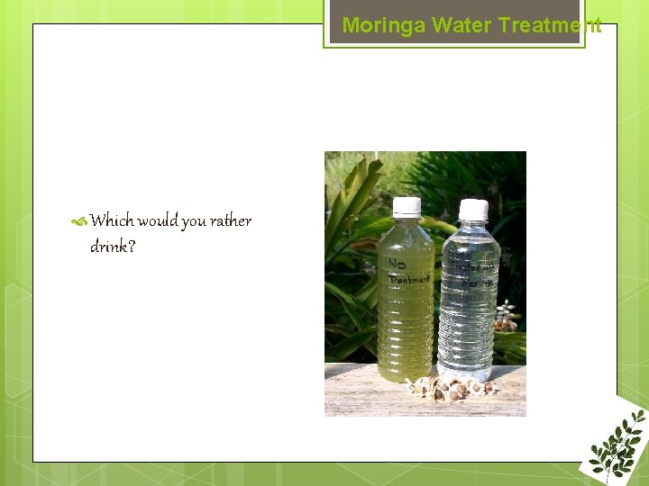 Moringa Water Treatment Which would you rather drink? 
