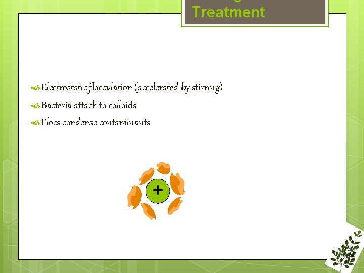 Treatment Electrostatic flocculation (accelerated by stirring) Bacteria attach to colloids Flocs condense contaminants +