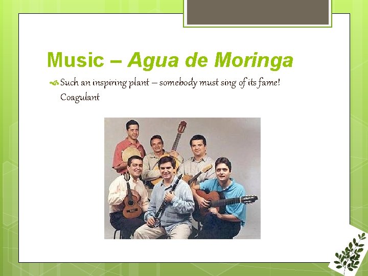 Music – Agua de Moringa Such an inspiring plant – somebody must sing of