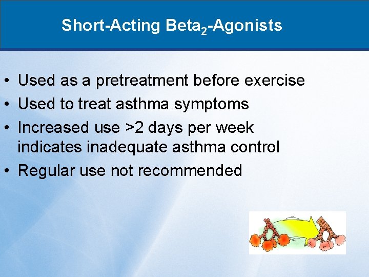 Short-Acting Beta 2 -Agonists • Used as a pretreatment before exercise • Used to