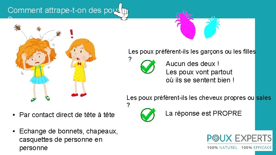 Comment attrape-t-on des poux ? Les poux préfèrent-ils les garçons ou les filles ?