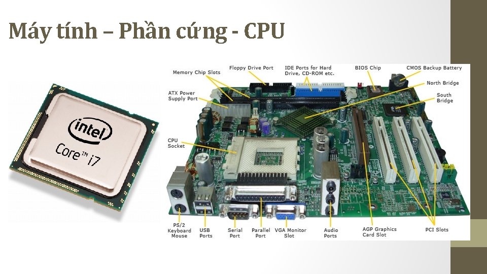 Máy tính – Phần cứng - CPU Máy tính – Phần cứng - CPU
