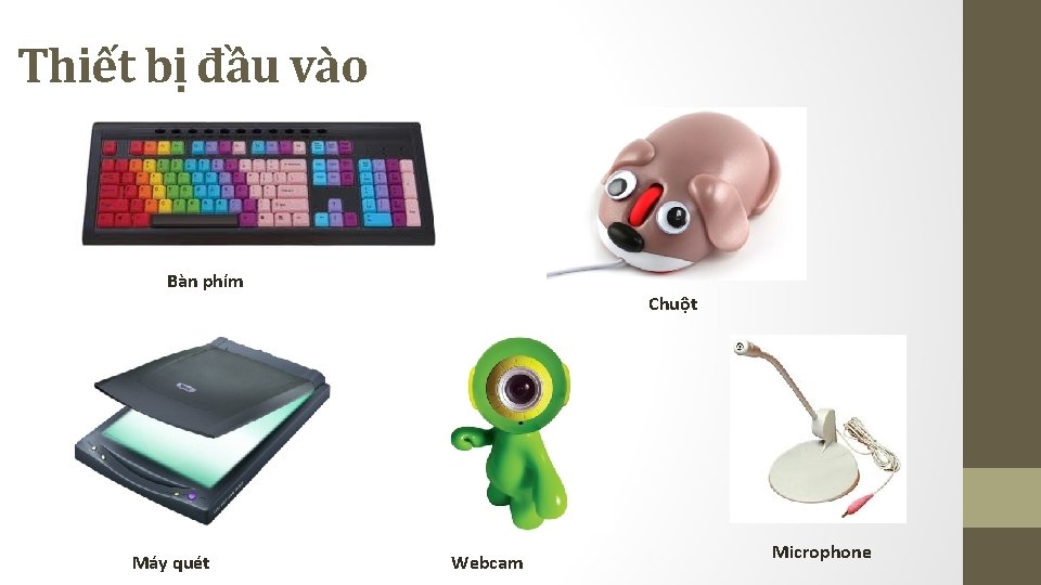 Thiết bị đầu vào Bàn phím Máy quét Chuột Webcam Microphone Thiết bị đầu vào Bàn phím Máy quét Chuột Webcam Microphone