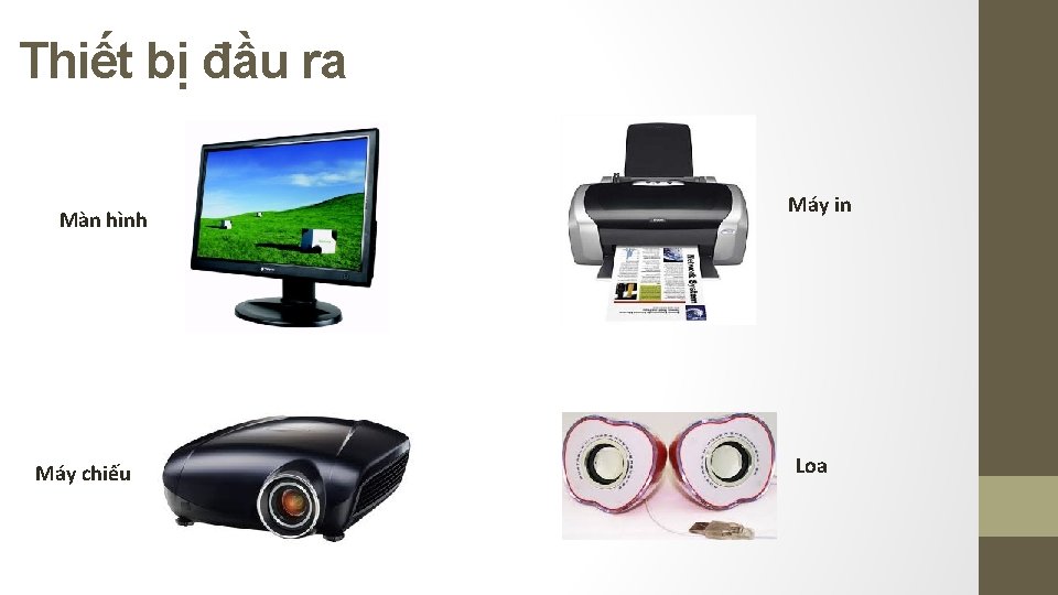 Thiết bị đầu ra Màn hình Máy chiếu Máy in Loa Thiết bị đầu ra Màn hình Máy chiếu Máy in Loa