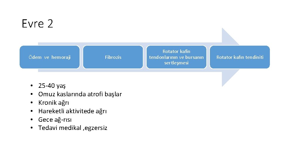 Evre 2 Ödem ve hemoraji • • • Fibrozis 25 40 yaş Omuz kaslarında