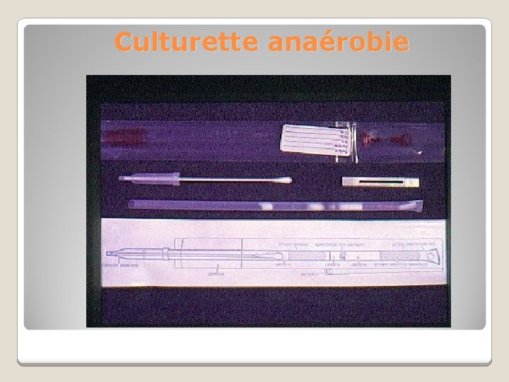 Culturette anaérobie 