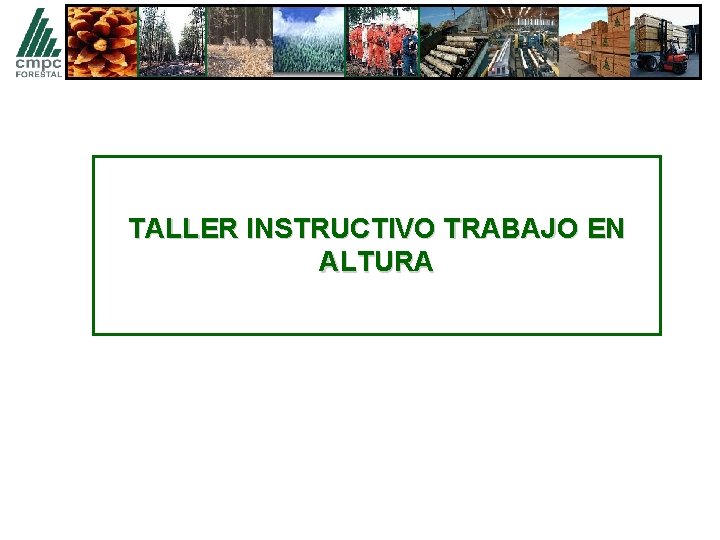 TALLER INSTRUCTIVO TRABAJO EN ALTURA 