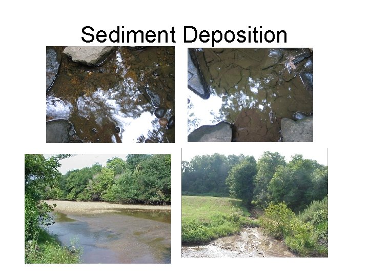Sediment Deposition 