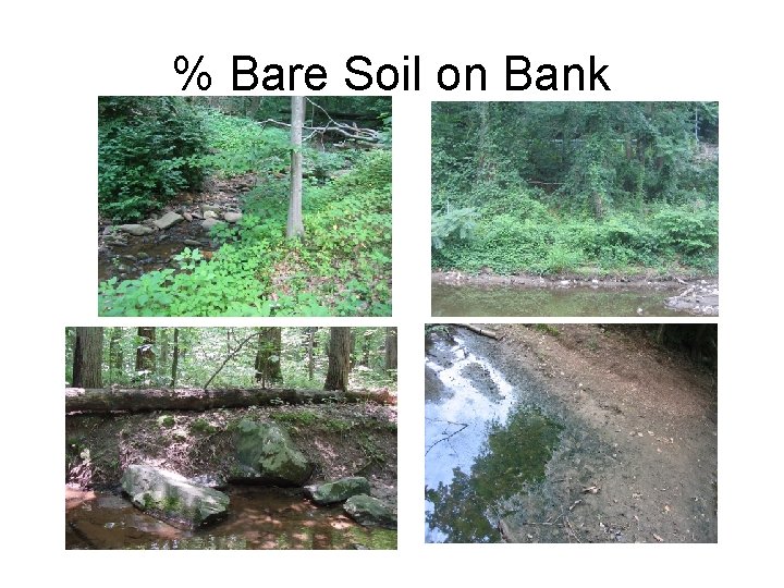 % Bare Soil on Bank 