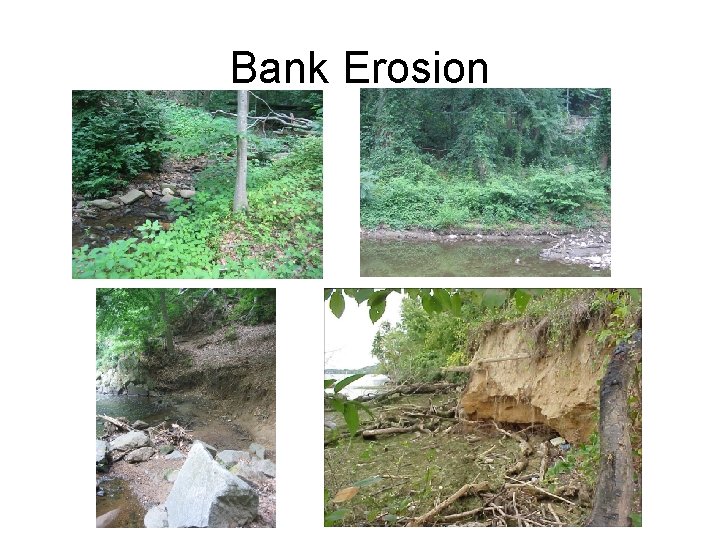 Bank Erosion 