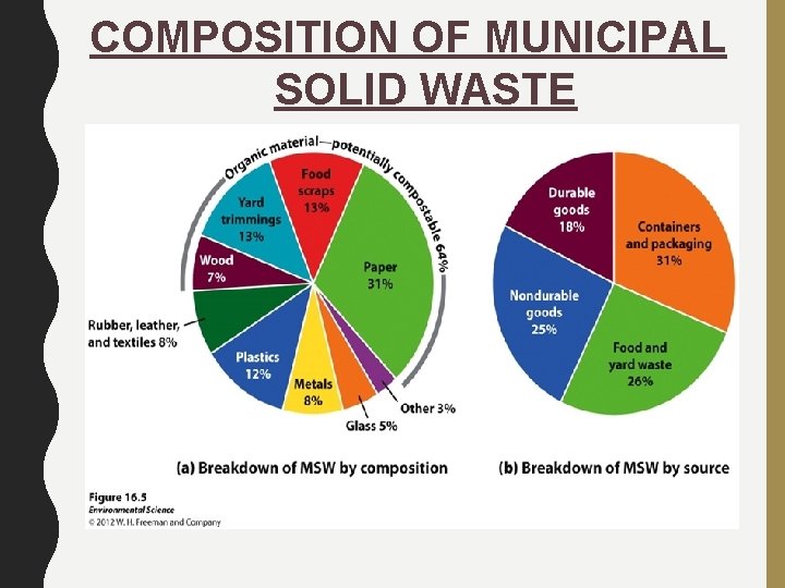 COMPOSITION OF MUNICIPAL SOLID WASTE 