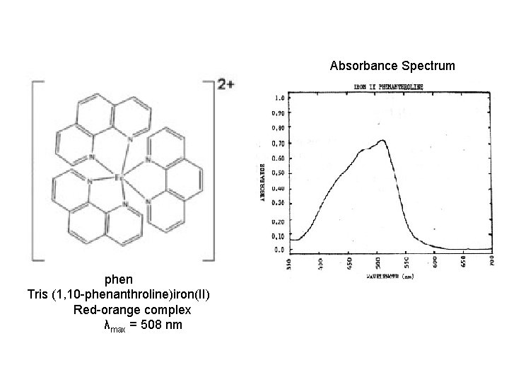 Absorbance Spectrum phen Tris (1, 10 -phenanthroline)iron(II) Red-orange complex λmax = 508 nm 