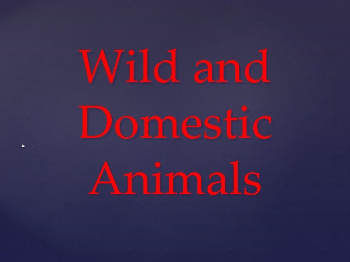  . Wild and Domestic Animals 