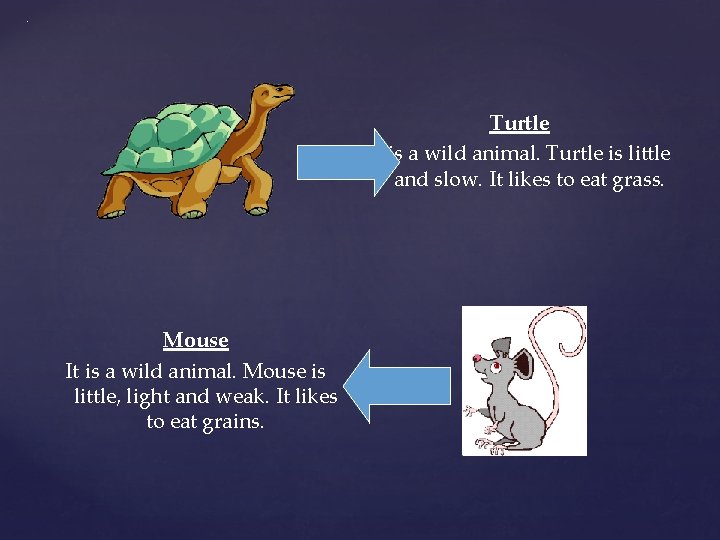 . Turtle It is a wild animal. Turtle is little and slow. It likes