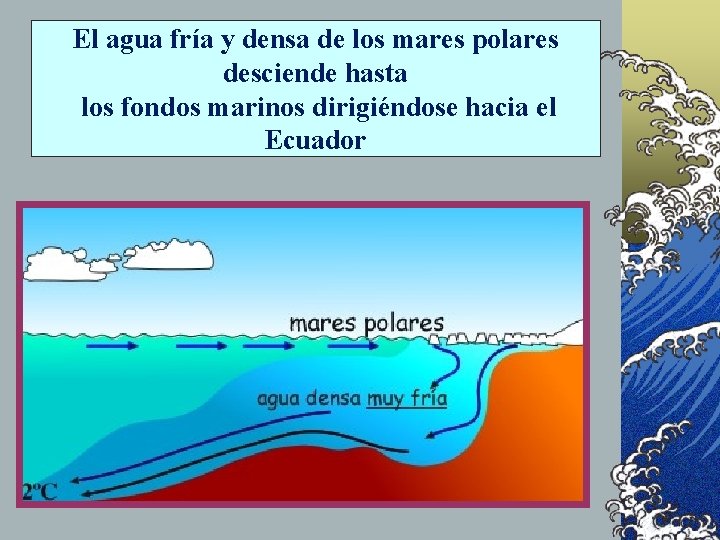 El agua fría y densa de los mares polares desciende hasta los fondos marinos