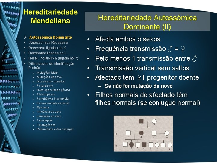 Hereditariedade Mendeliana Ø • • • Autossómica Dominante Autossómica Recessiva ligadas ao X Dominante