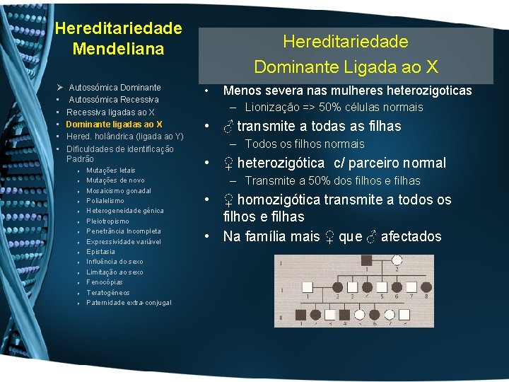 Hereditariedade Mendeliana Ø • • • Autossómica Dominante Autossómica Recessiva ligadas ao X Dominante