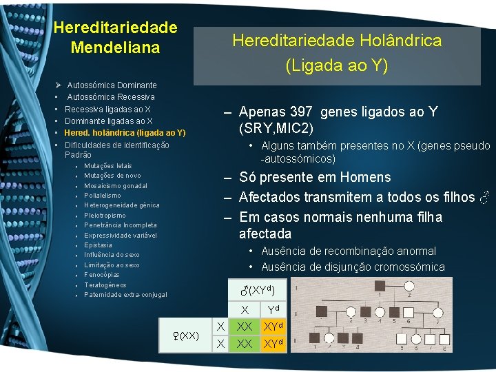 Hereditariedade Mendeliana Ø • • • Autossómica Dominante Autossómica Recessiva ligadas ao X Dominante