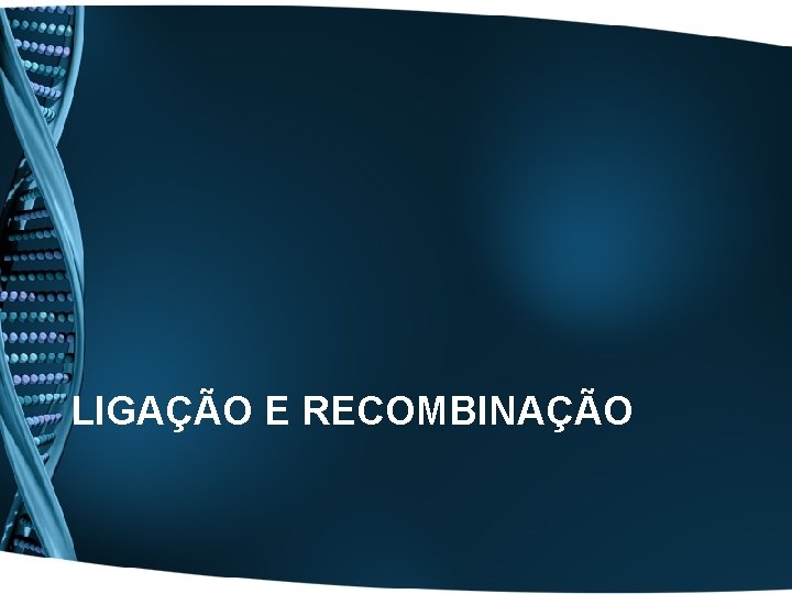 LIGAÇÃO E RECOMBINAÇÃO 