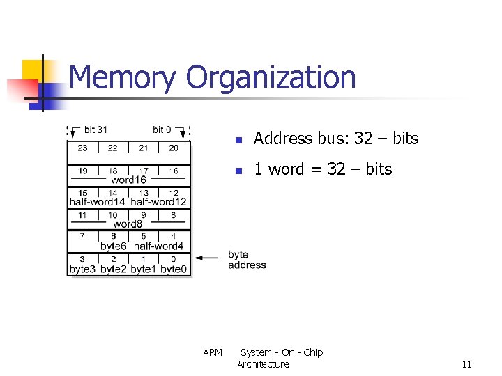 Memory Organization ARM n Address bus: 32 – bits n 1 word = 32