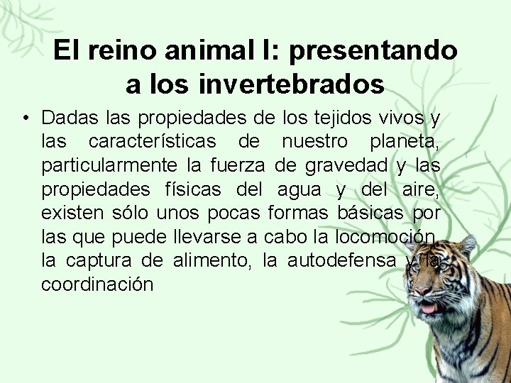 El reino animal I: presentando a los invertebrados • Dadas las propiedades de los