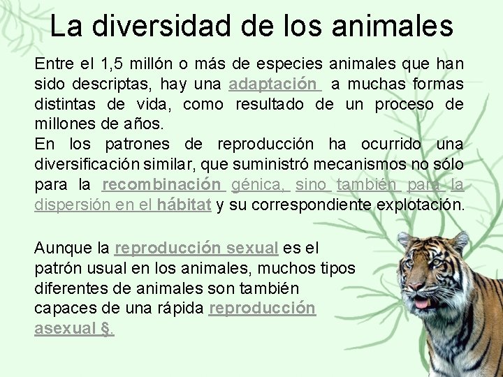 La diversidad de los animales Entre el 1, 5 millón o más de especies