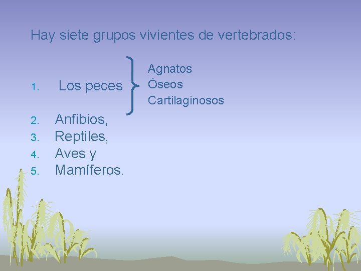 Hay siete grupos vivientes de vertebrados: 1. Los peces 2. Anfibios, Reptiles, Aves y