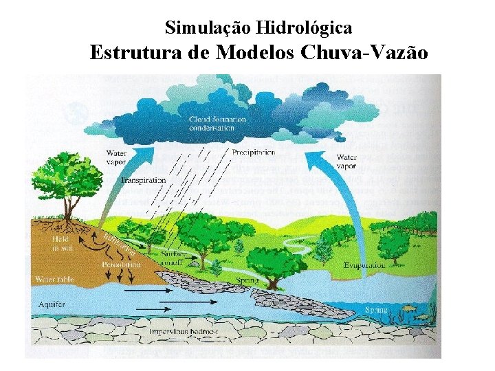 Simulação Hidrológica Estrutura de Modelos Chuva-Vazão 