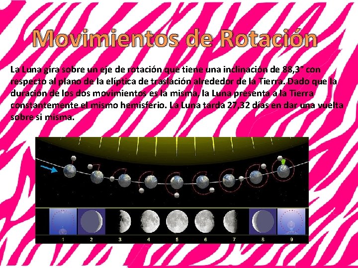 Movimientos de Rotación La Luna gira sobre un eje de rotación que tiene una