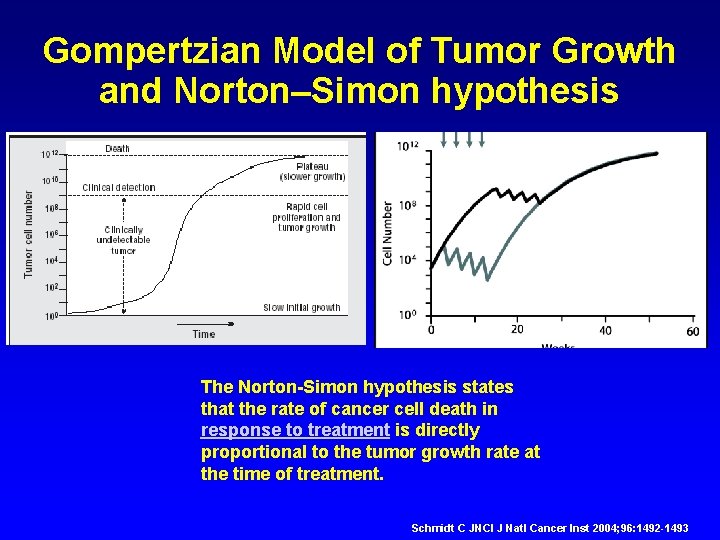 Intermittent versus Continuous Systemic Therapy for Metastatic Colorectal